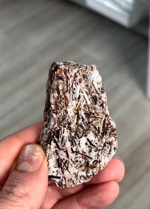 Astrophyllite Specimen from Khibniy Massif, Russia