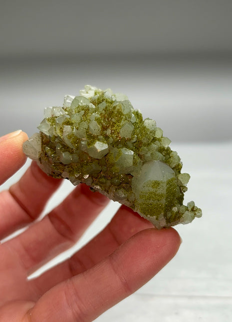 Rare ! Druzy Green Epidote with Quartz