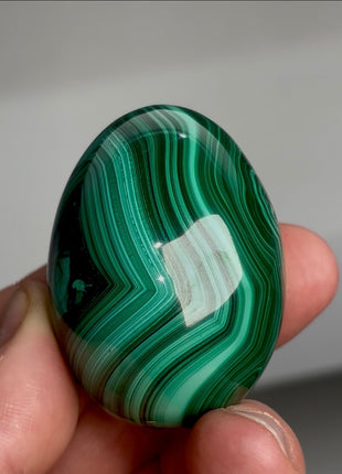 Green Malachite Egg from Congo PM1161