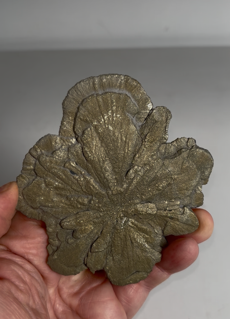 Pyrite Sun - From Sparta, Illinois