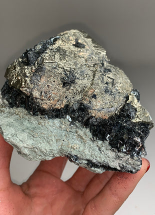 Pyrite with Hematite on Matrix  from Elba, Italy - Collection # 121