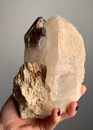 Elestial Smoky Quartz on White Quartz - From Namibia