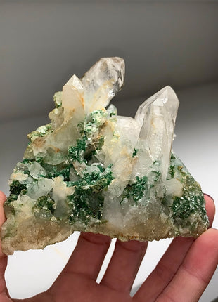 Rare ! Rich Green Fuchsite with Quartz