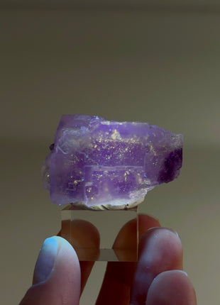New Arrival ! Galaxy Fluorite
