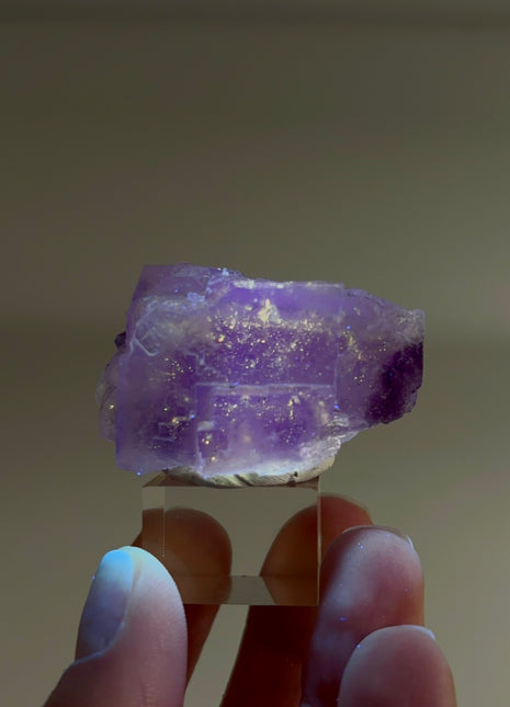 New Arrival ! Galaxy Fluorite