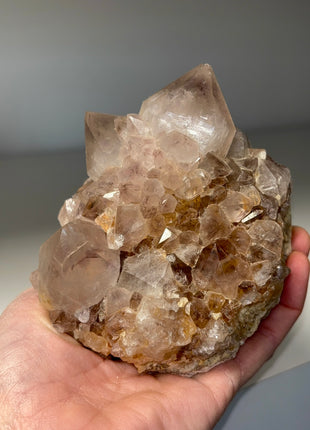 Smoky Cactus Quartz - From South African Republic