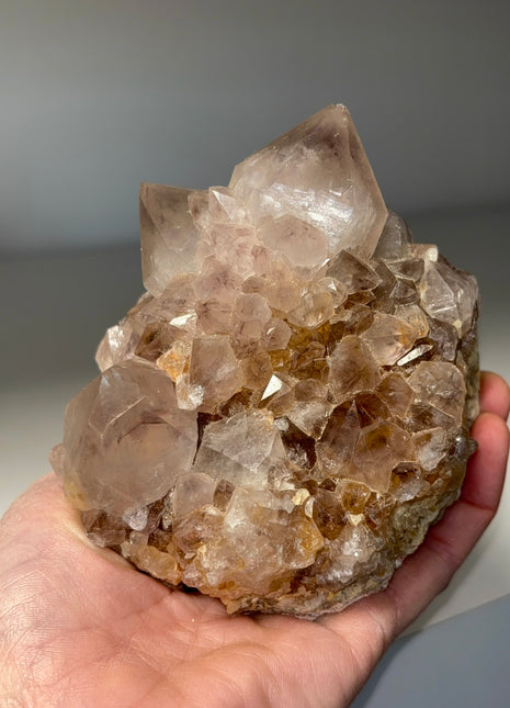 Smoky Cactus Quartz - From South African Republic