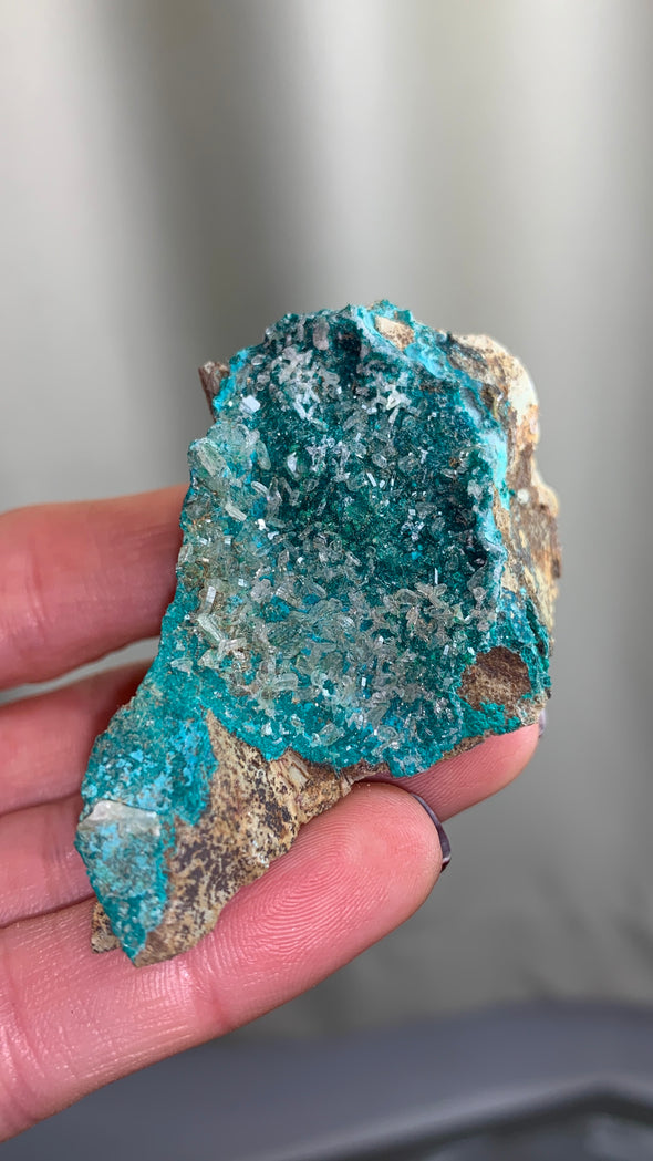 Rare ! Barite with Chrysocolla and Malachite Lot - From Congo - 12 Pieces !