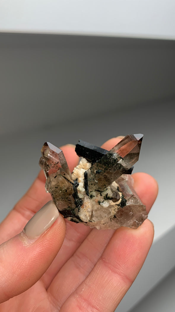 Excellent Smoky Quartz with Dark Green Aegerine Lot - 12 Pieces ! From Malawi