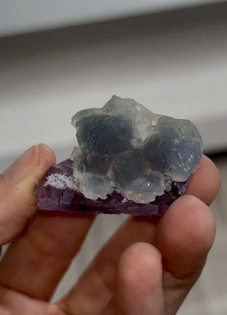 Blue Fluorite on Purple Fluorite PM0362