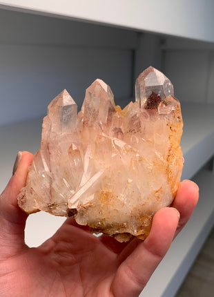 Great Phantoms ! Sunset Quartz 🔥 *