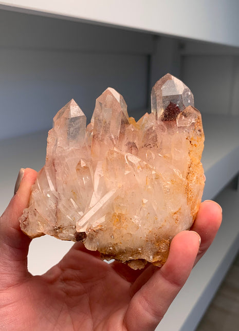 Great Phantoms ! Sunset Quartz 🔥 *