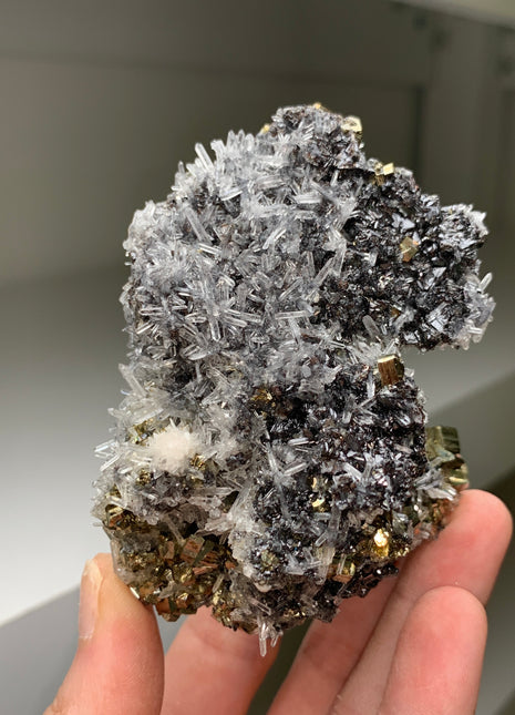 Very High Grade Pyrite, Silvery Galena with Quartz