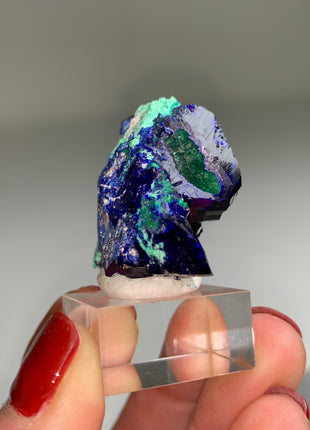 Wow ! Blue Azurite from Milpillas, Mexico # PM0162