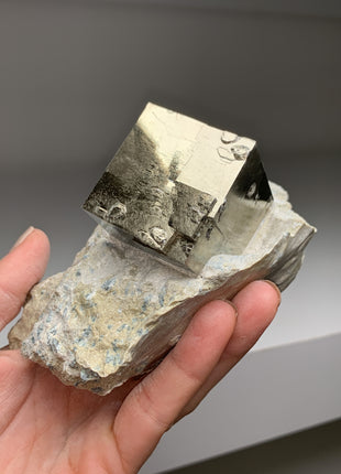 New ! Cubic Pyrite on Matrix from Navajun, Spain