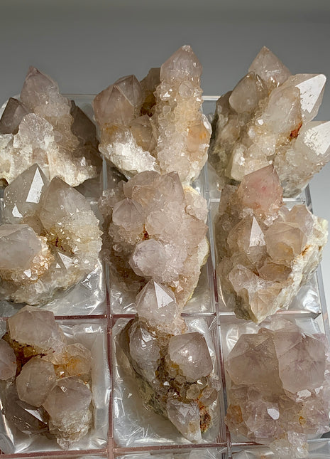 Wow ! Cactus Quartz Clusters Lot From South African Republic - 9 Pieces !