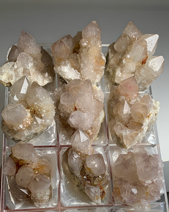 Wow ! Cactus Quartz Clusters Lot From South African Republic - 9 Pieces !