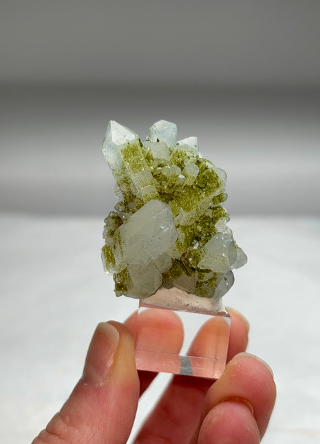 New ! Druzy Green Epidote with Quartz