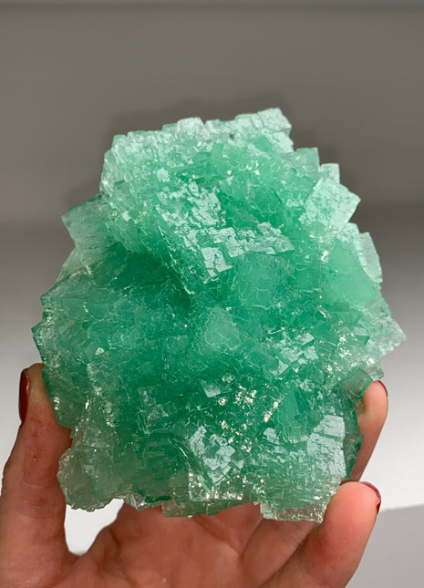 Lustrous ! Green Cubic Halite - From Lubin mine, Poland