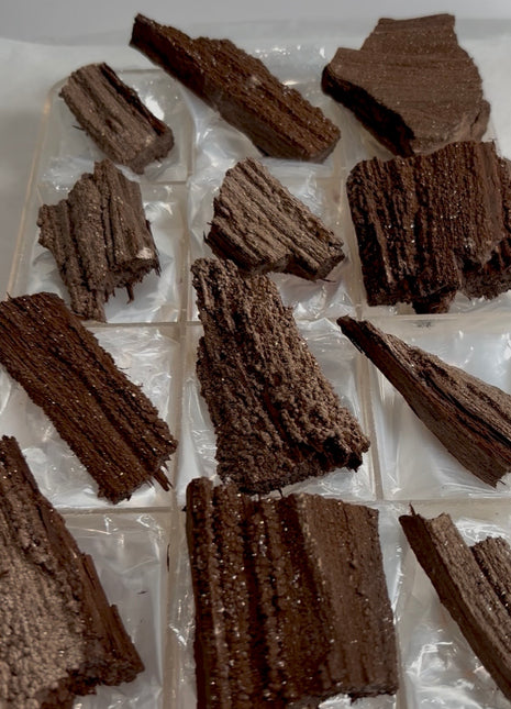 12 Pieces ! Permineralized Fossil Wood Fairy Wood Lot