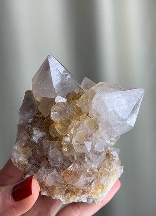 Cactus Quartz Citrine with Big Crystals - From South African Republic