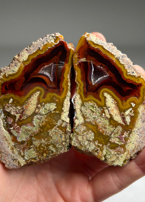 Black Sea Agate Pair*