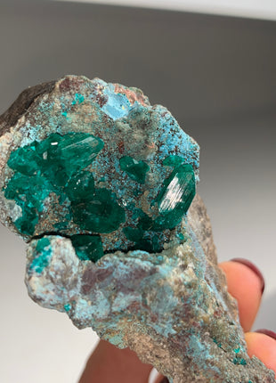 Lustrous Green Dioptase with Blue Shattuckite