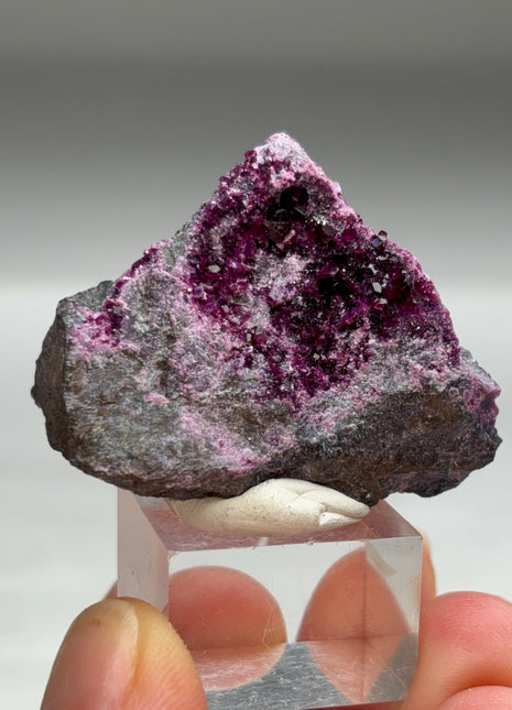 Purple Red Kammererite