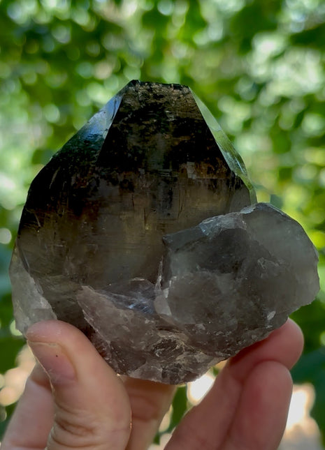 Morion Quartz PM1217
