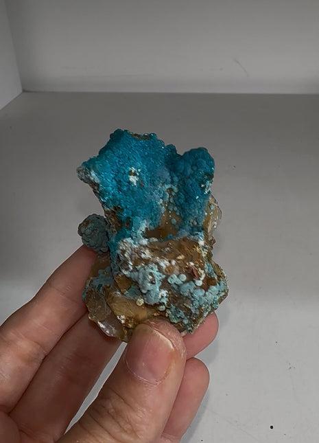 New ! Blue Chrysocolla with Quartz