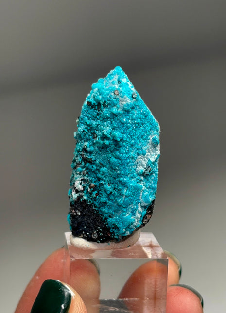 Quartz with Blue Chrysocolla