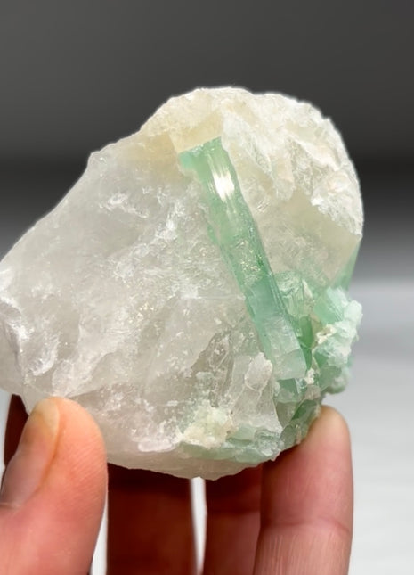 Rare SeafoamTourmaline with Quartz