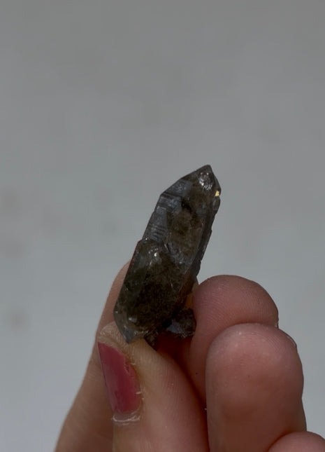 Chlorite Included Quartz - From Chamonix, French Alps