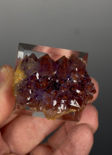Red Amethyst Flower - From Thunder Bay, Canada