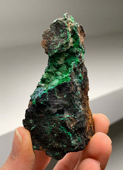 Vibrant Green Conichalcite ! From Spain