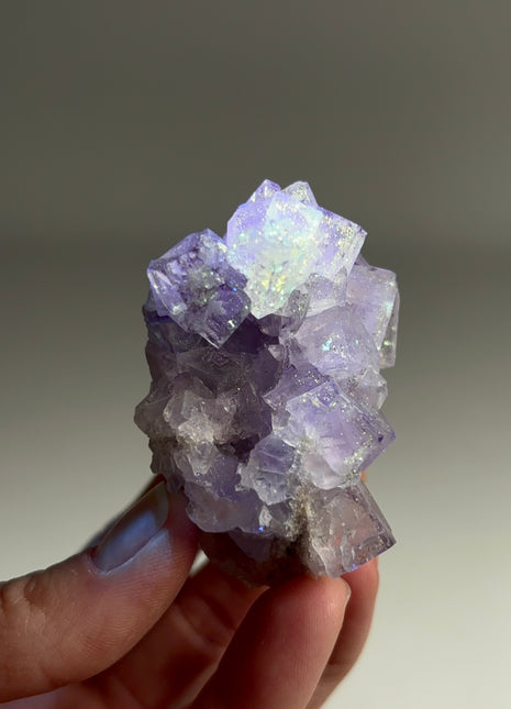 New Arrival ! Galaxy Fluorite
