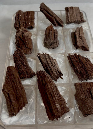 12 Pieces ! Permineralized Fossil Wood Fairy Wood Lot