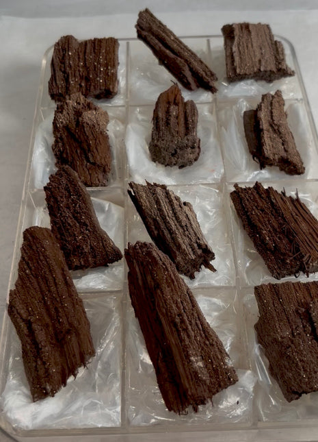 12 Pieces ! Permineralized Fossil Wood Fairy Wood Lot
