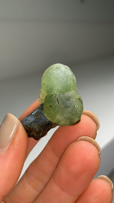 Green Prehnite with Epidote - From Mali