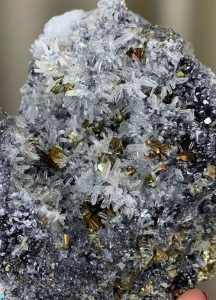 Rainbow Pyrite with Quartz - Borieva mine, Rhodope Mtns