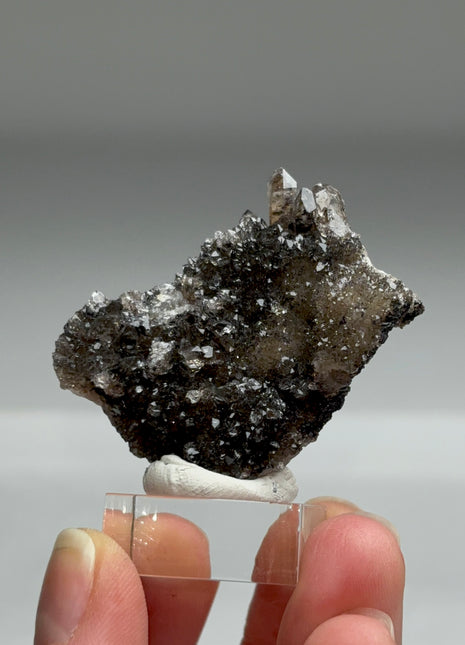 Rare Black Herkimer from New York