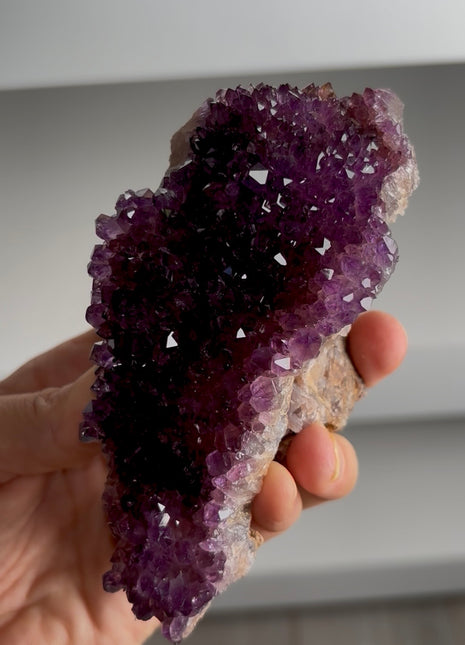 Amethyst from Cosmic Purple Pocket PM0523