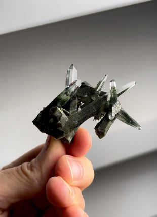 Quartz with Chlorite from Ganesh Himal PM1277