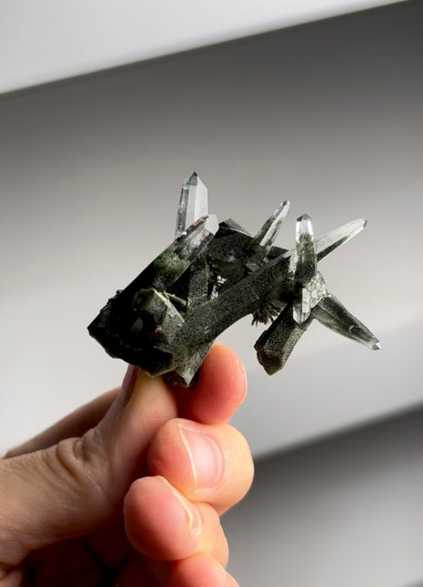 Quartz with Chlorite from Ganesh Himal PM1277