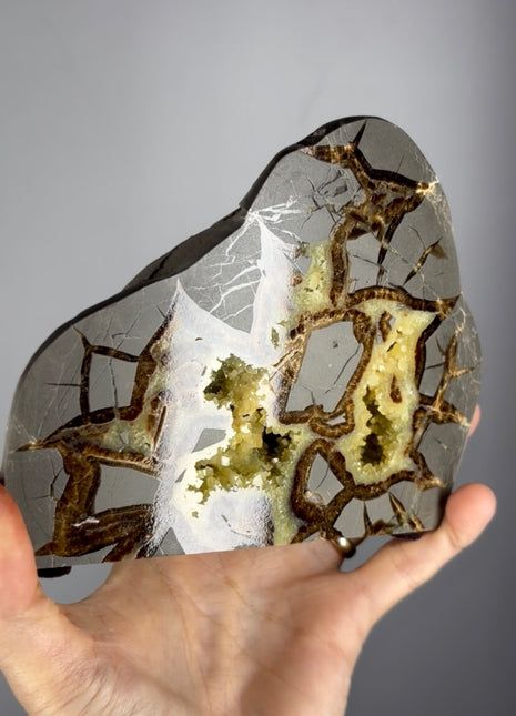 Septarian Geode from Utah