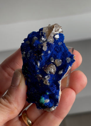 Blue Azurite with Cerussite Collection # 704