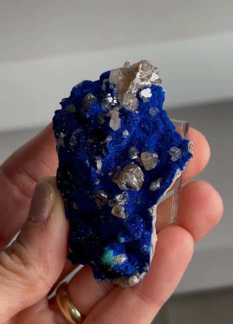 Blue Azurite with Cerussite Collection # 704