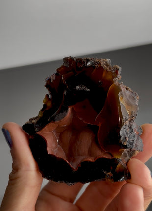 Red Fox Agate Geode from Argentina PM1537