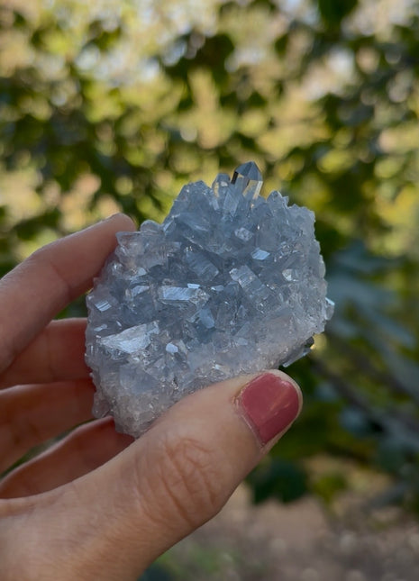 Both-sided Sky Blue Celestite