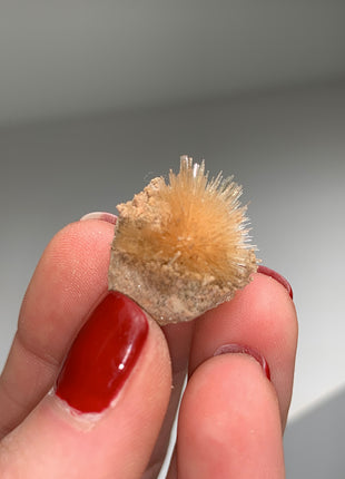 New Arrival ! Bursting Sun Aragonite Ball - From Pantoja, Spain